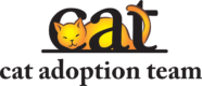 Cat Adoption Team