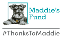 Maddie's Fund #ThanksToMaddie