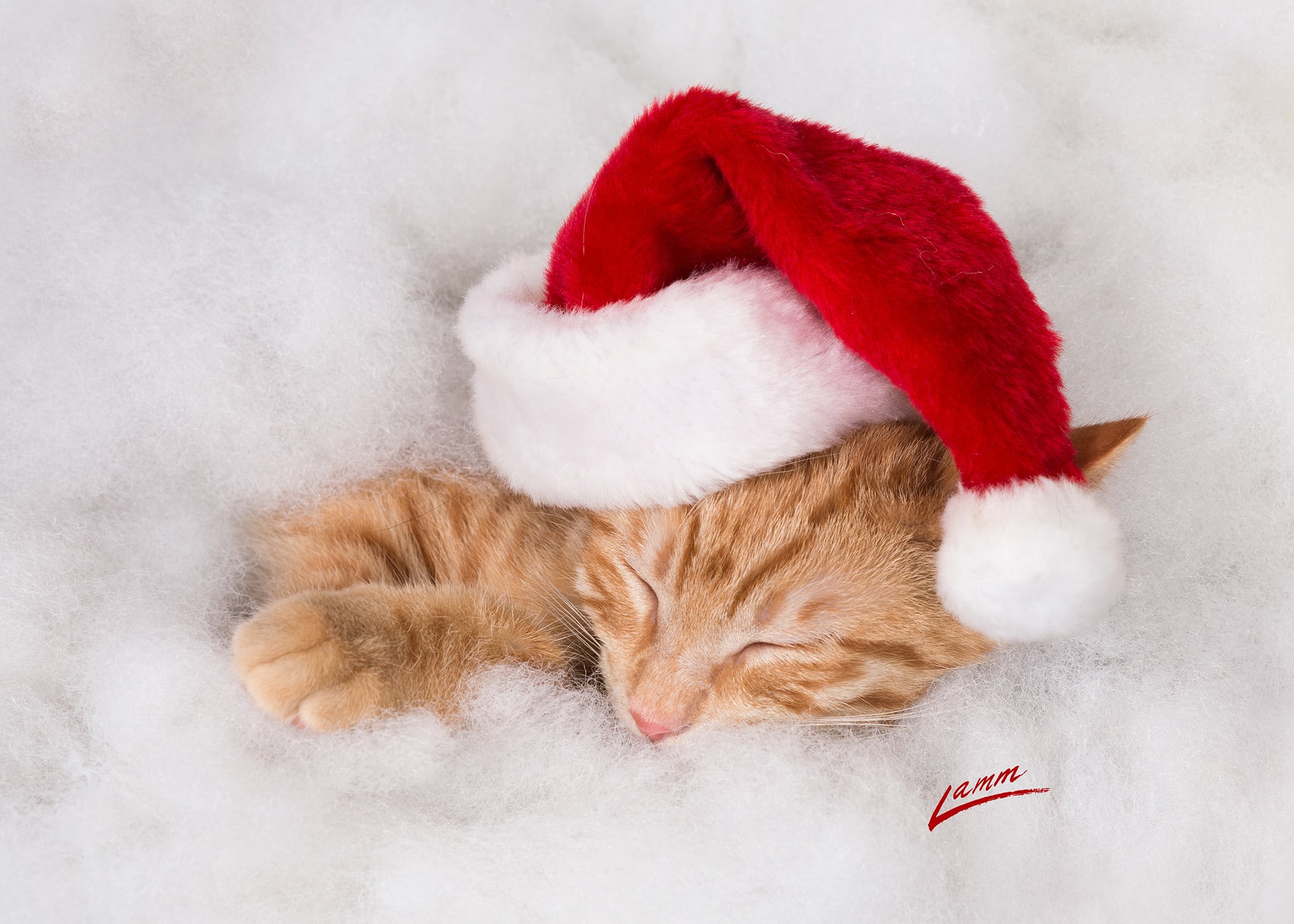 An orange kitten wearing a Santa hat is asleep in a pile of white cotton "snow".