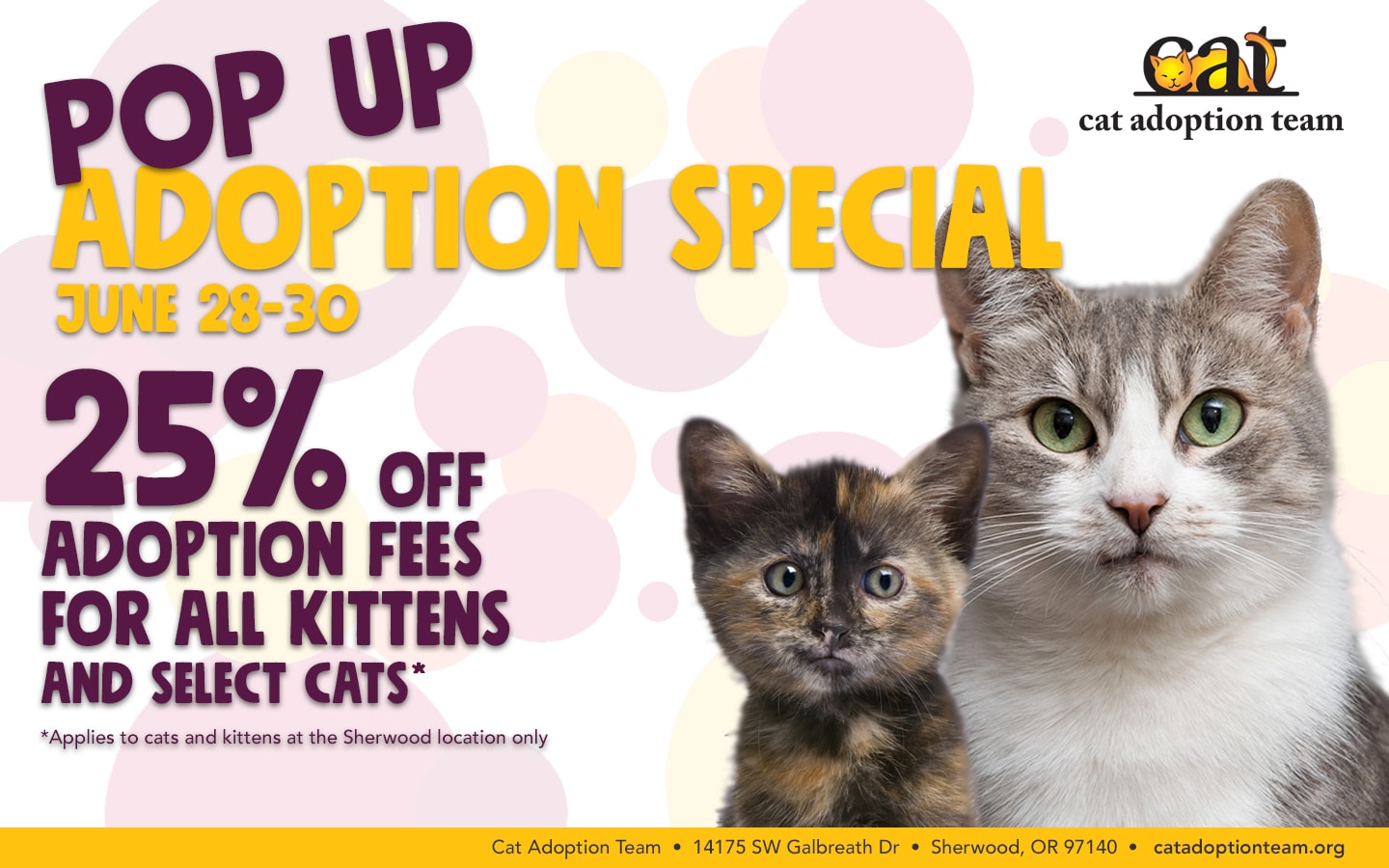 Pop Up Adoption Special - Cat Adoption Team