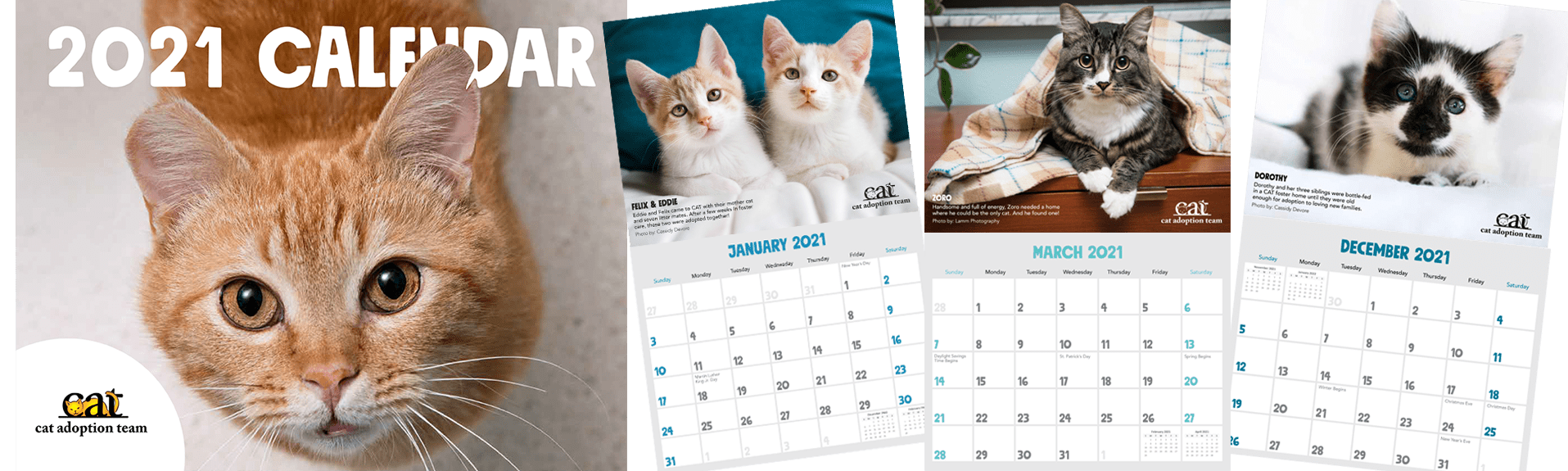 2021 CAT Calendar Cover plus preview of three months