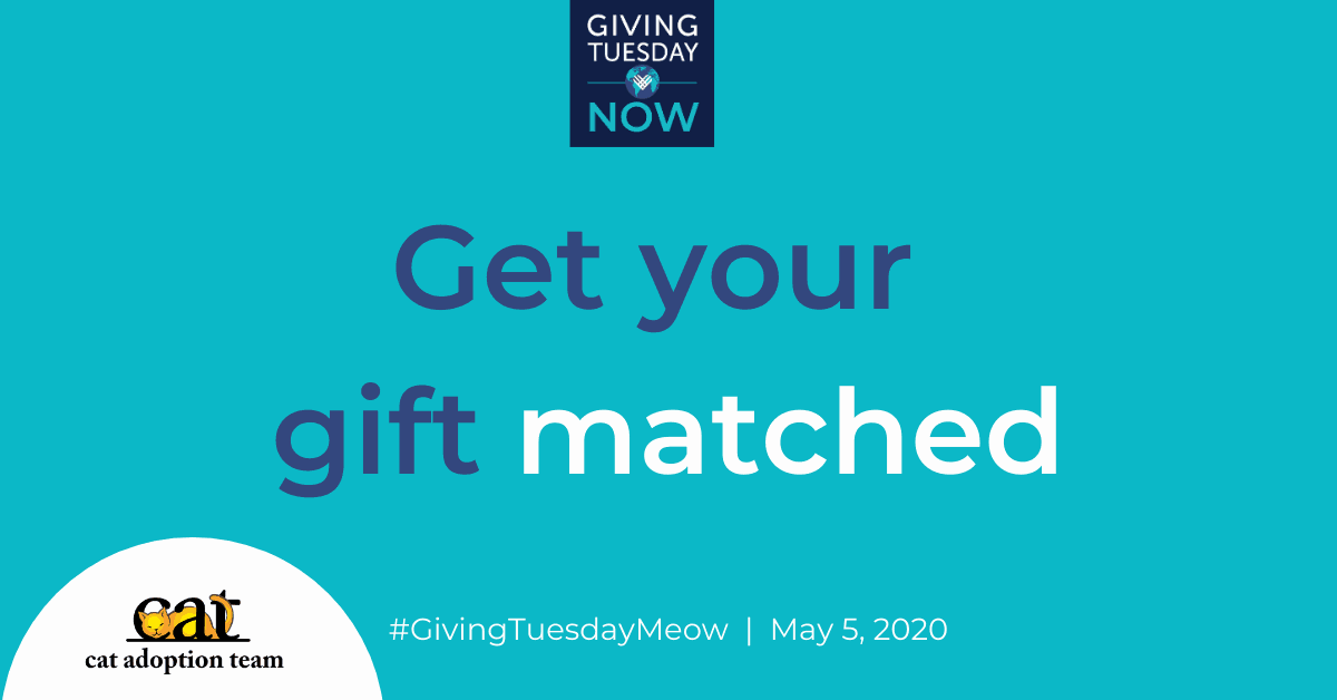Get your gift matched. Giving Tuesday Now, May 5, 2020.
