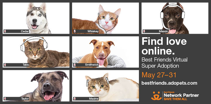Seven photos feature either a cat or dog over a white background next to the banner text: Find love online. Best Friends Virtual Super Adoption May 27-21.