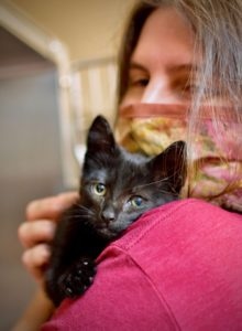 person in cloth mask holds black kitten