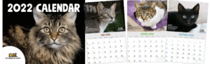2022 CAT Calendar Cover Plus 3 Sample Months