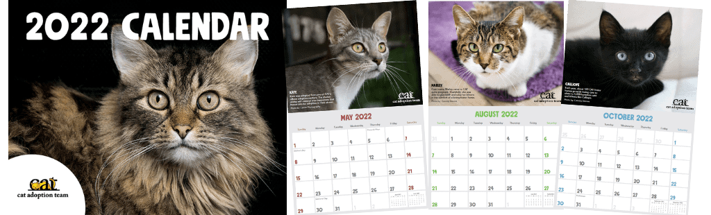 2022 CAT Calendar Cover Plus 3 Sample Months