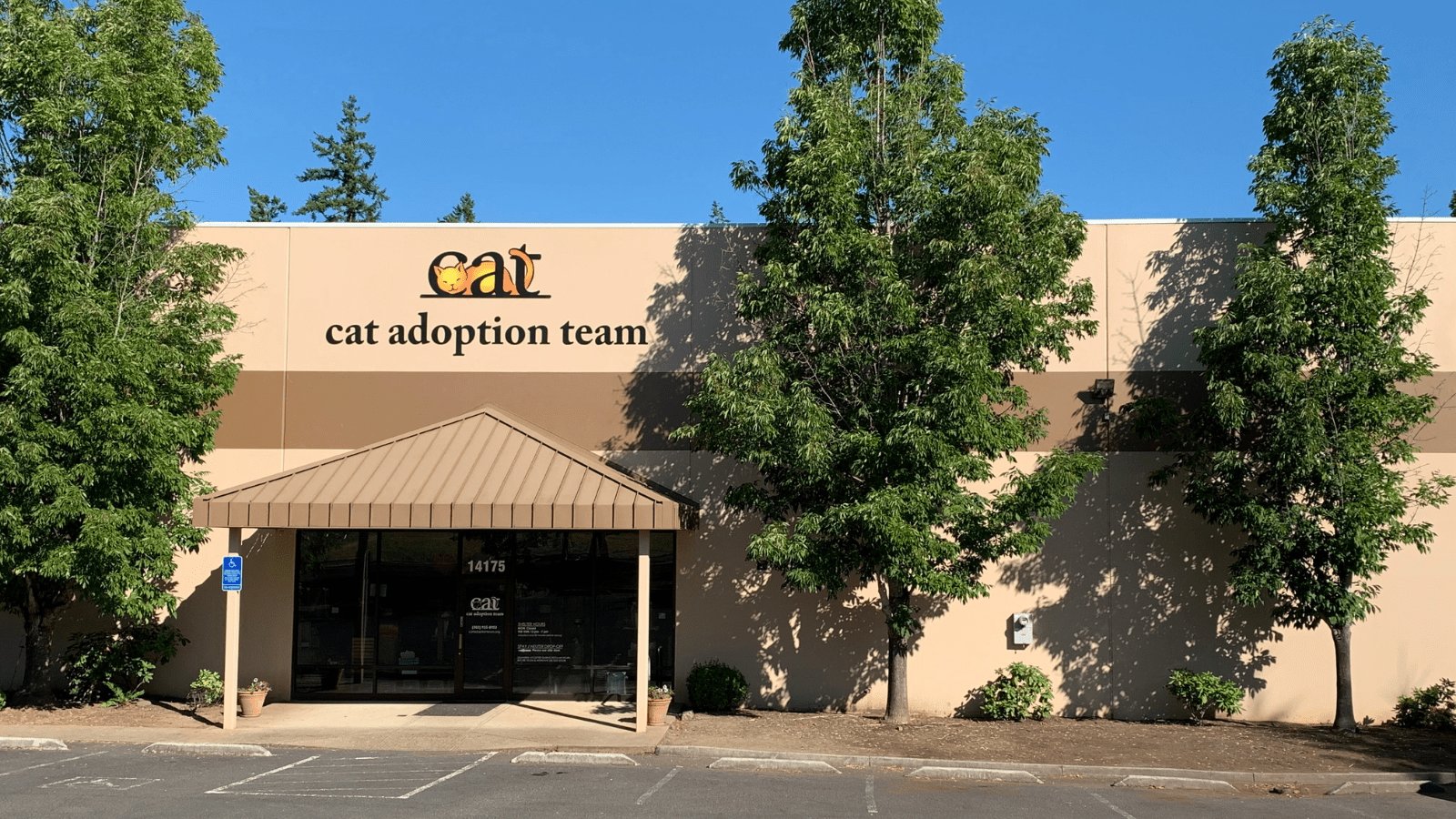 An exterior show of Cat Adoption Team's shelter front entrance in summer.