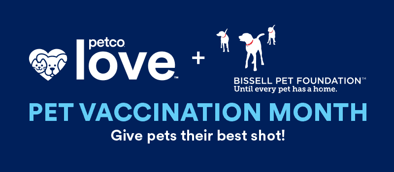 Pet Vaccination Month banner