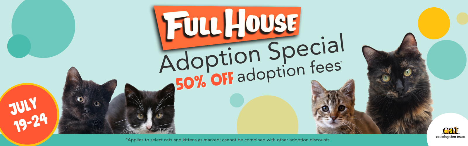 Three cute kittens and a tortie cat surround the words Full House Adoptoin Special. 50% off adoption fees.