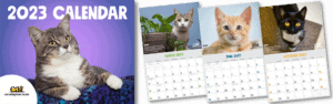 2023 CAT Calendar cover features a gray tabby on purple background, sample of 3 months shows May, June and October