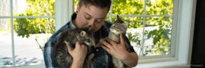 A person in a blue plaid shirt holds two tabby kittens in front of a window