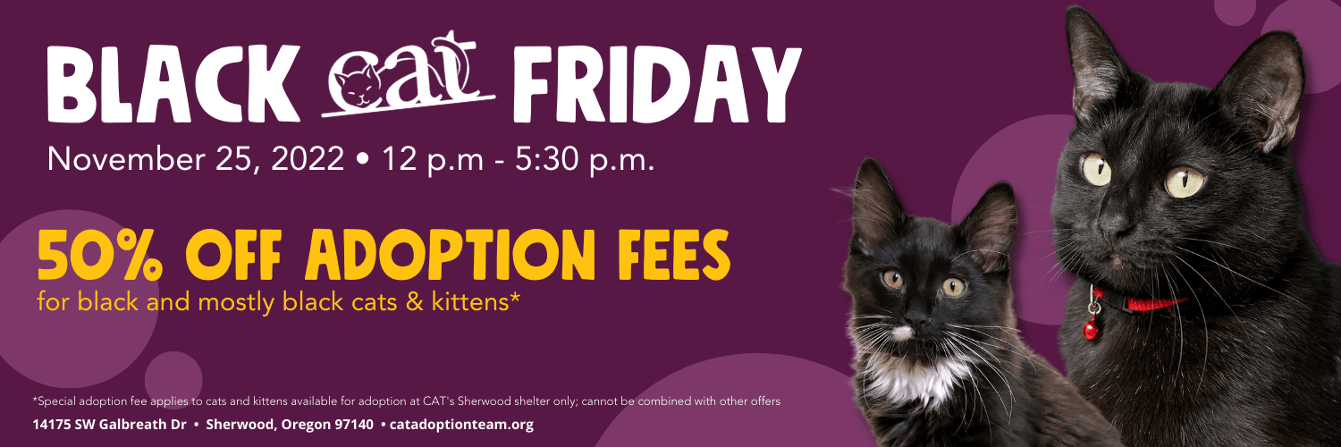 Cat adoption events sales near me