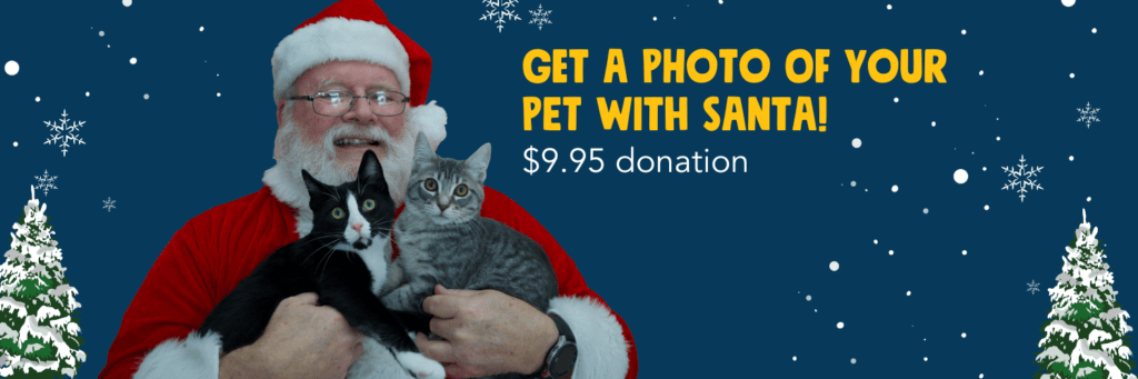 Pet Photos with Santa at Tualatin Petco — December 10, 2022