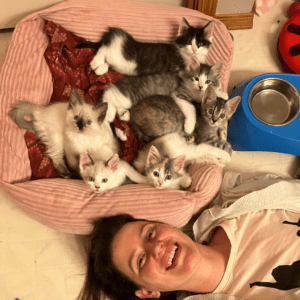 6 kittens lie in a pink bed on the floor. Foster mom lies at the bottom of the frame next to them, smiling.