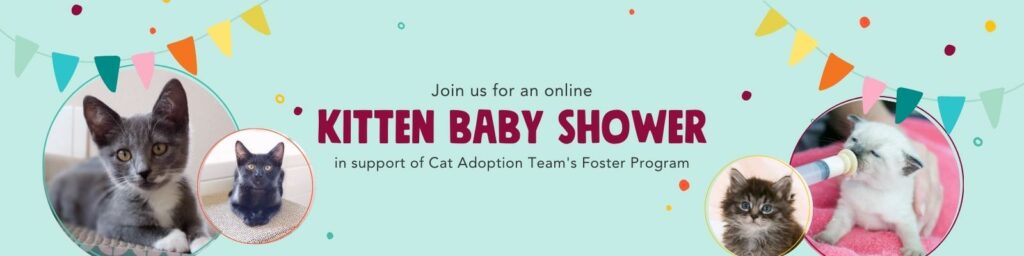 Join us for an online Kitten Baby Shower in support of the foster program
