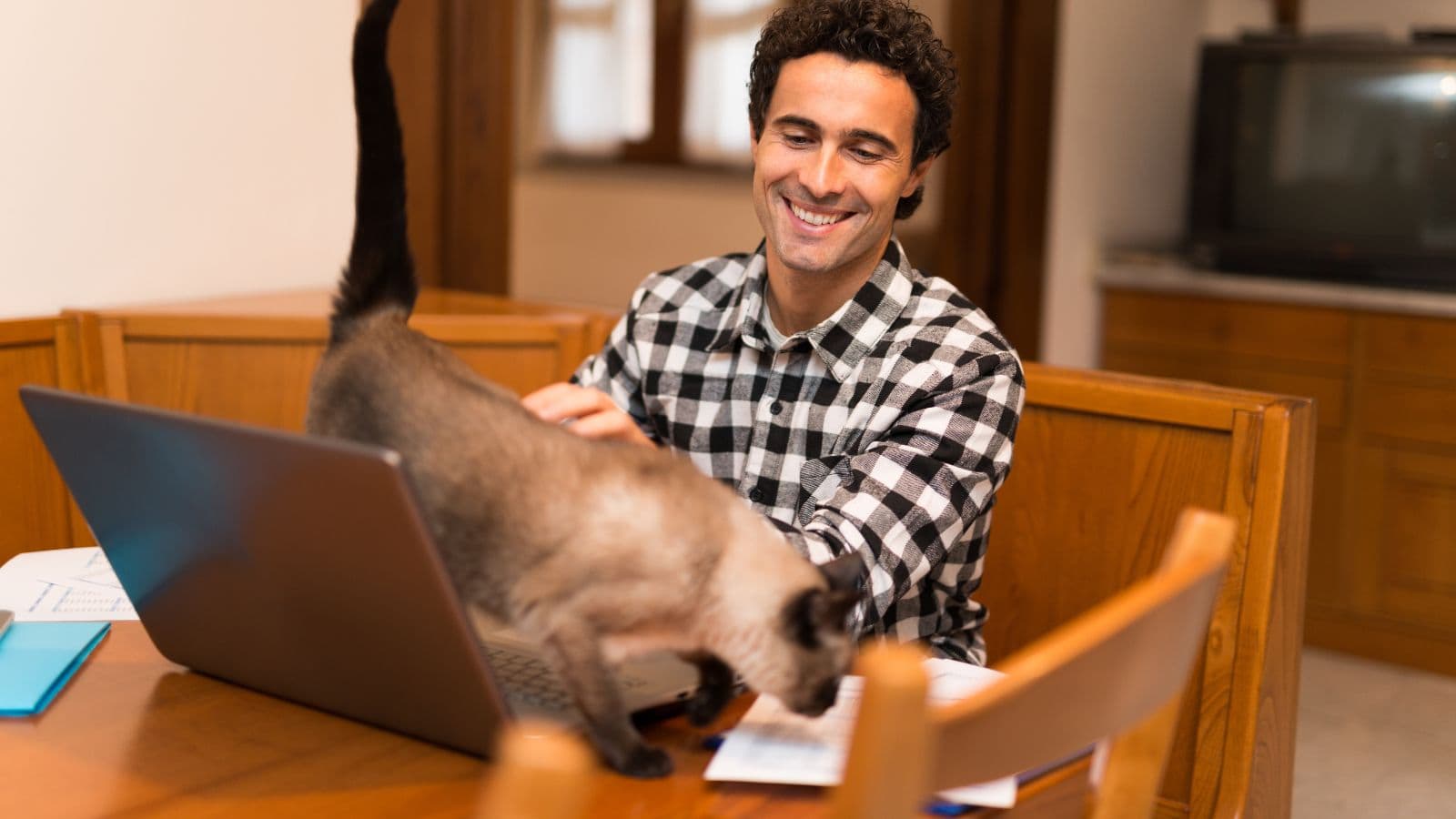 A man in a checked shirt sits at a kitchen table working on a laptop while petting a cat that is walking in front of him.