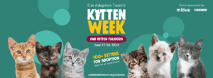 Kitten Week and Kitten Palooza. More than 100 kittens for adoption.
