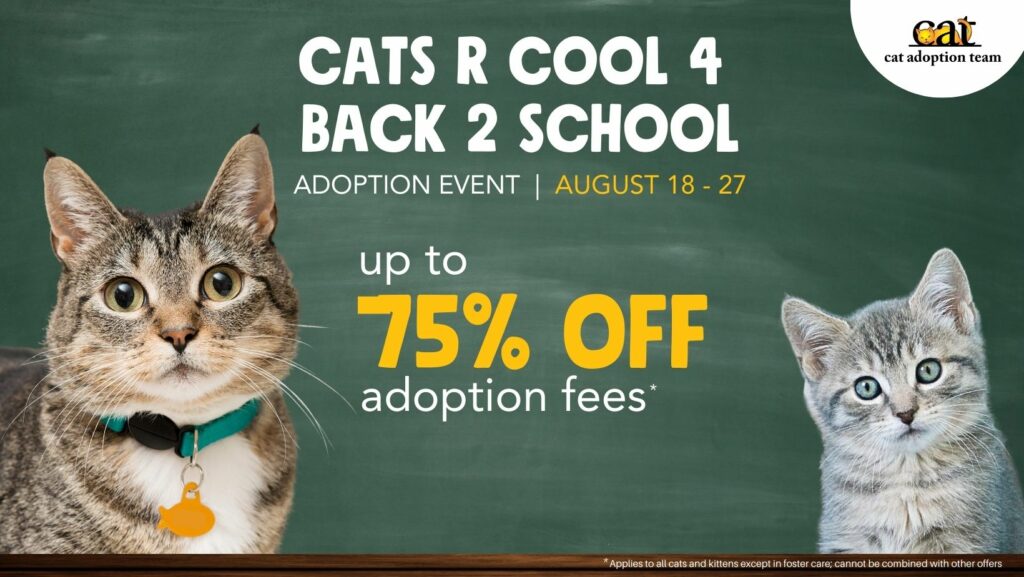 A brown tabby cat on the left and a gray tabby kitten on the right with text between them that reads Cats R Cool 4 Back 2 School. Up to 75% off adoption fees*