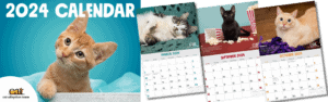 2024 CAT Calendar cover with three sample pages right. All feature photos of cats or kittens.