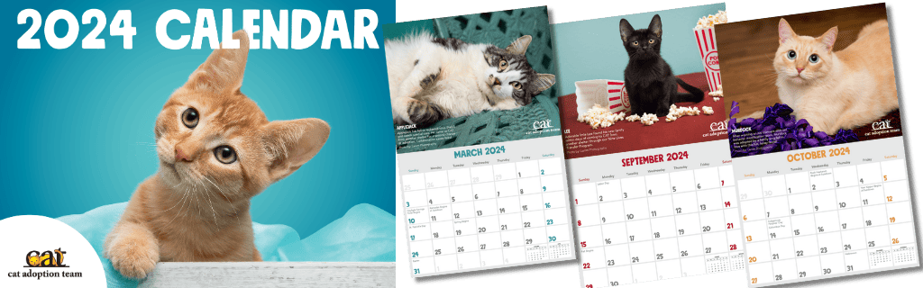 2024 CAT Calendar cover with three sample pages right. All feature photos of cats or kittens.