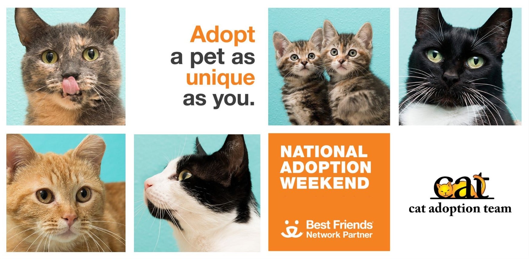 A series of different cat photos and text that reads Adopt a pet as unique as you are. Best Friends National Adoption Weekend.