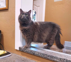 Full-body photo of Hilda standing at reception.