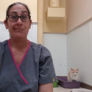 Carrie, foreground, sits in a room at the shelter. In the background, an orange-and-white cat uses the litter box. Carrie makes a face.