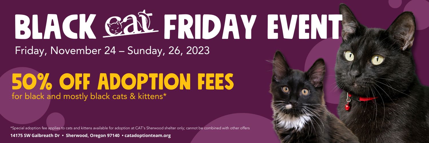 Black CAT Friday header restates event details and features two black kitties