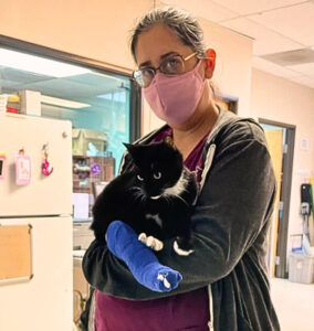 Carries, in a face mask, stands, holding a mostly -black kitten. The kitten has a blue cast on its back leg.