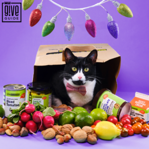A cat pokes their head out of a New Seasons Market paper bag surrounded by food and produce.