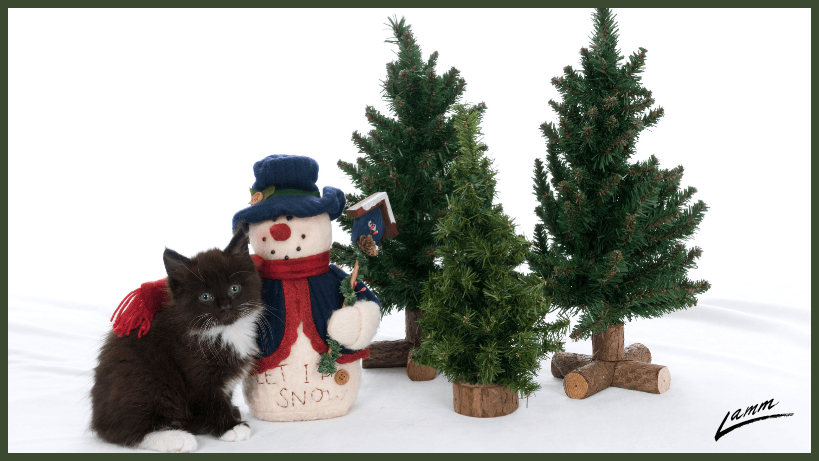 Two toy evergreen trees next to a toy snowman with a small black-and-white kitten on the far left. Background is white with a dark green border.