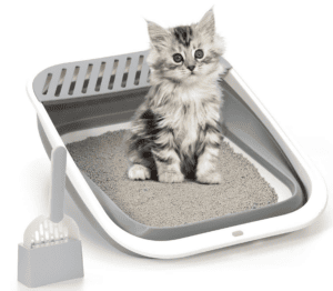 A fluffy kitten sits in a low-sided litter box full of clay litter.