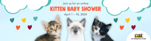 Join us for an online Kitten Baby Shower April 1-10