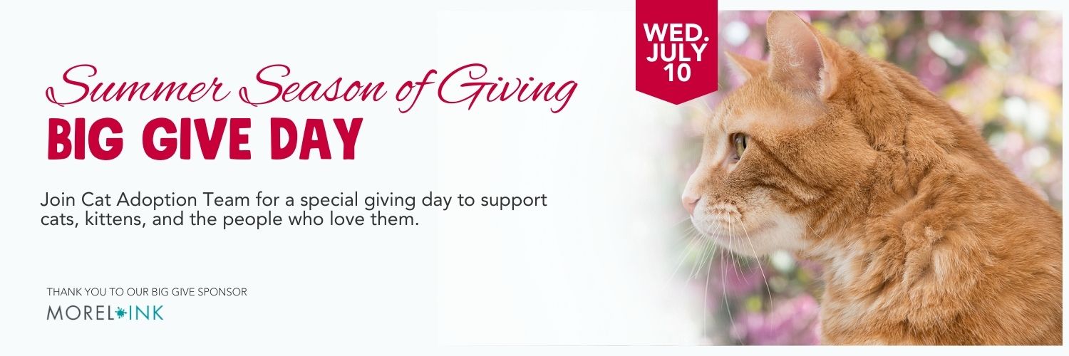 Summer Season of Giving: Big Give Day