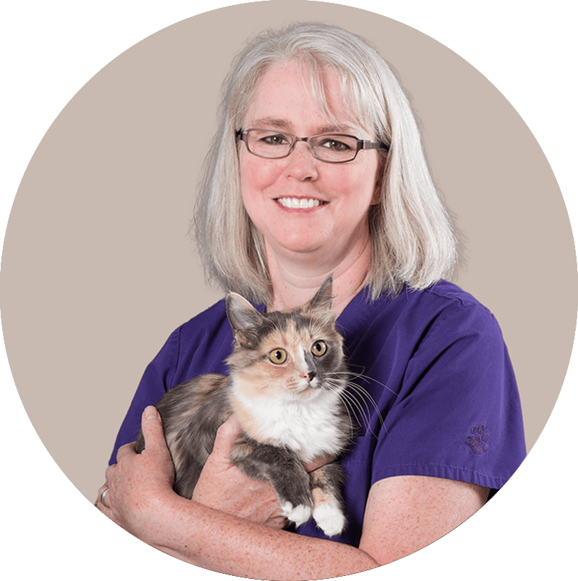 Dr. Dianne Brown smiles in purple scrub top. She is wearing glasses and holding a dilute calico cat.