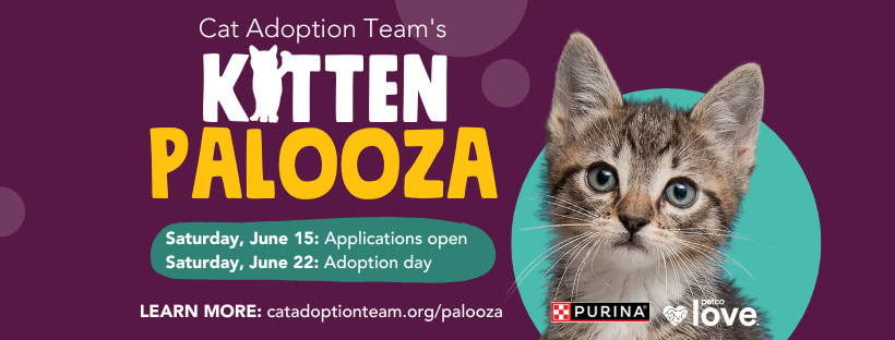 Kitten Palooza banner restates event date and time from article