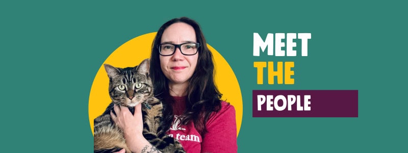 Teal background banner with a yellow circle at center. A person holds a tabby cat in front of the yellow circle. Text on the right reads "meet the people"