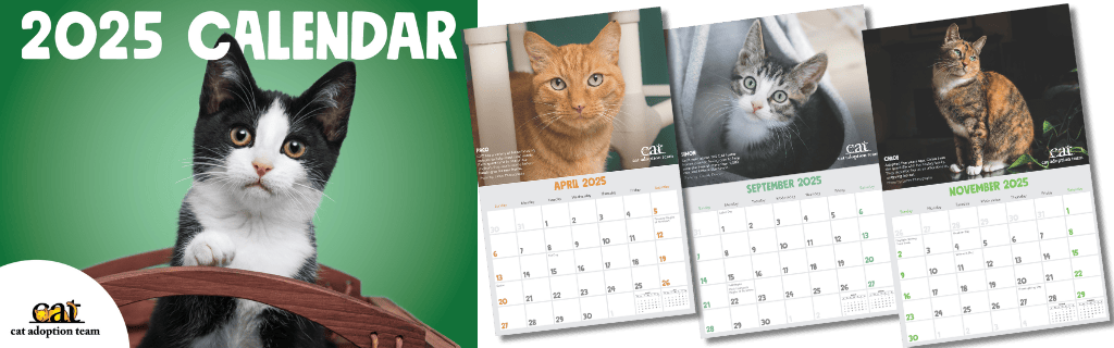 2025 CAT Calendar cover with three sample pages right. All feature photos of cats or kittens.