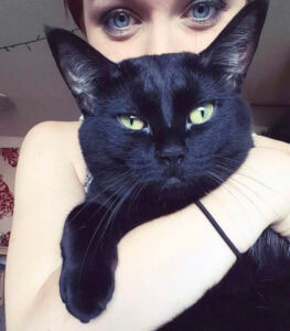 Closeup of a person holding a black cat