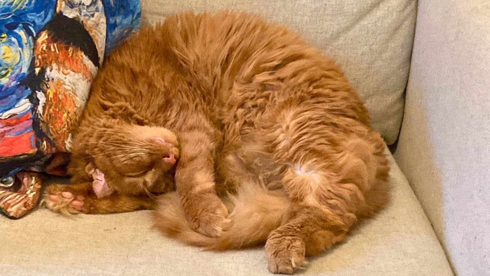 a large orange cat is curled up asleep on a couch next to a colorful pillow