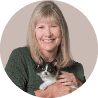 Volunteer Manager