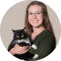 Shelter Manager