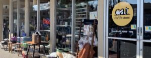 store front windows